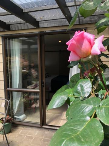 Cedar Park Bed & Breakfast Tamahere エクステリア 写真